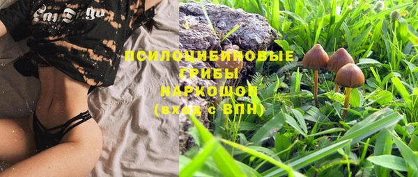 стафф Бугульма