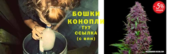ГАЛЛЮЦИНОГЕННЫЕ ГРИБЫ Бородино