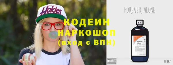 ГАЛЛЮЦИНОГЕННЫЕ ГРИБЫ Бородино