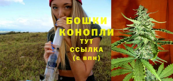 ГАЛЛЮЦИНОГЕННЫЕ ГРИБЫ Бородино