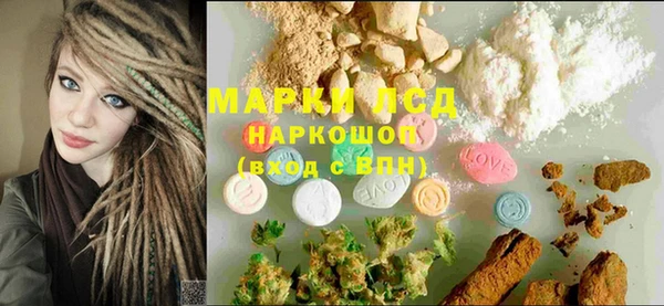 ГАЛЛЮЦИНОГЕННЫЕ ГРИБЫ Бородино