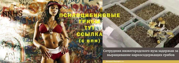 стафф Бугульма