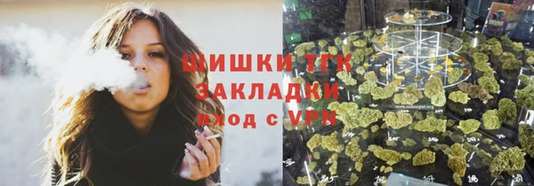 spice Богданович