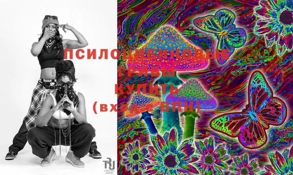 ГАЛЛЮЦИНОГЕННЫЕ ГРИБЫ Бородино
